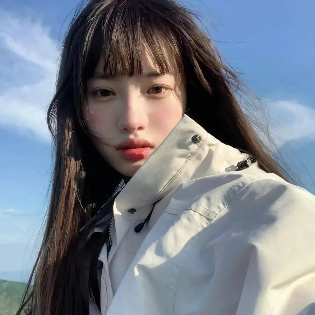 红犬历险记